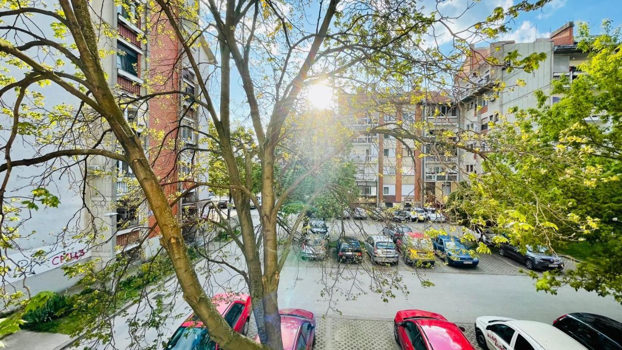 Apartman Jelena Apartment Sremska Mitrovica Ngoại thất bức ảnh
